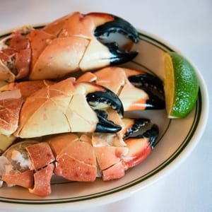 Stone Crabs