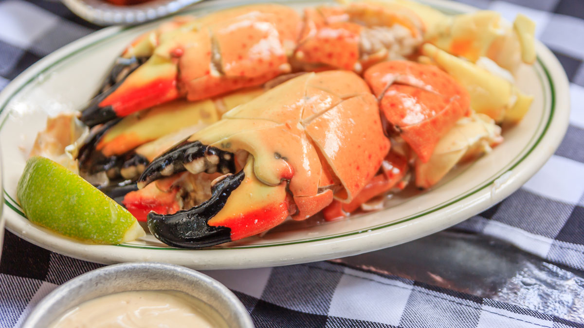 Florida Stone Crab