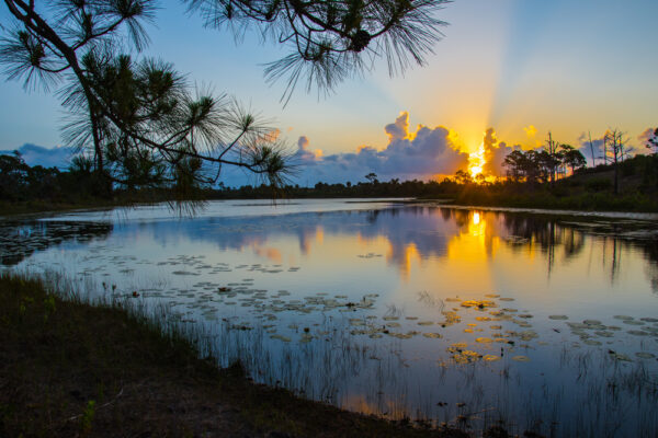 Jonathan Dickinson Park Loxahatchee River