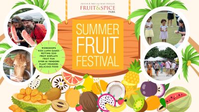 Summer Fruit Festival