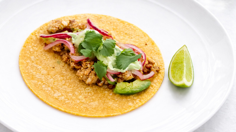 Jerk Snapper Tacos with Avocado
